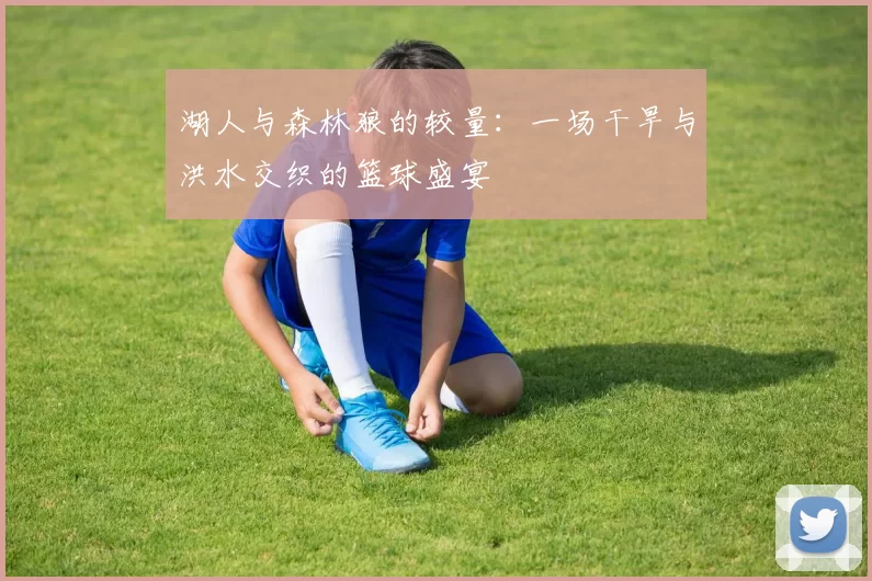 湖人与森林狼的较量：一场干旱与洪水交织的篮球盛宴